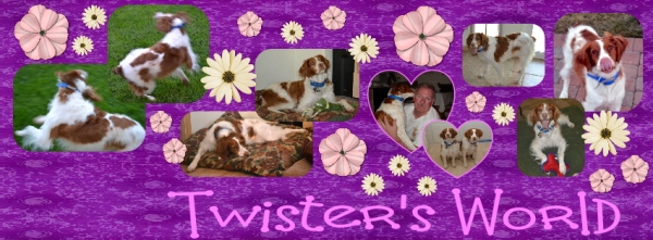 twister cover